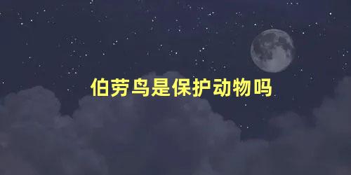 伯劳鸟是保护动物吗