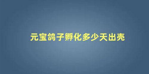 元宝鸽子孵化多少天出壳