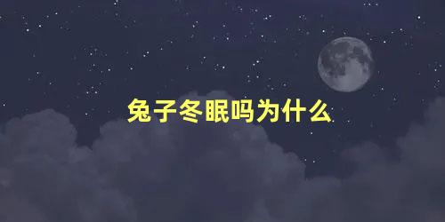 兔子冬眠吗为什么