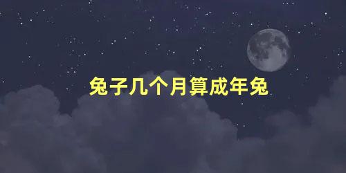 兔子几个月算成年兔