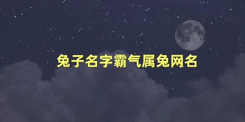 兔子名字霸气属兔网名