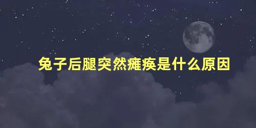 兔子后腿突然瘫痪是什么原因