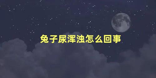 兔子尿浑浊怎么回事