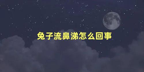 兔子流鼻涕怎么回事