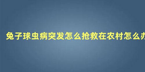 兔子球虫病突发怎么抢救在农村怎么办