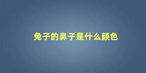 兔子的鼻子是什么颜色