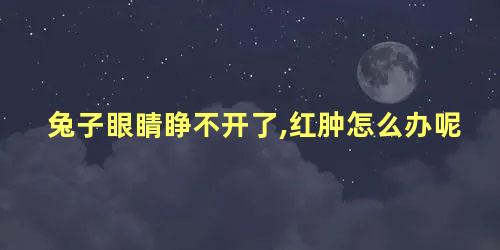 兔子眼睛睁不开了,红肿怎么办呢