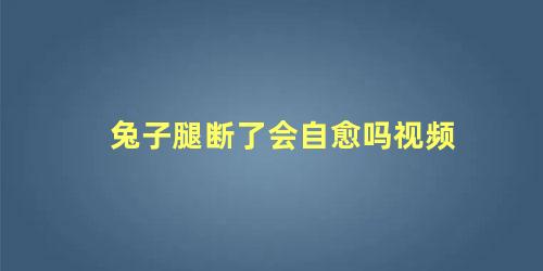 兔子腿断了会自愈吗视频