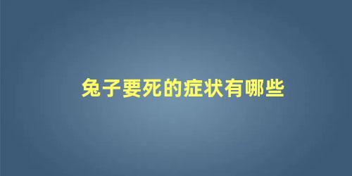 兔子要死的症状有哪些