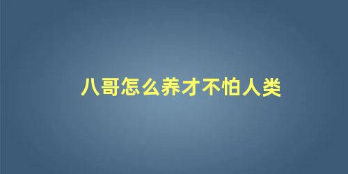 八哥怎么养才不怕人类