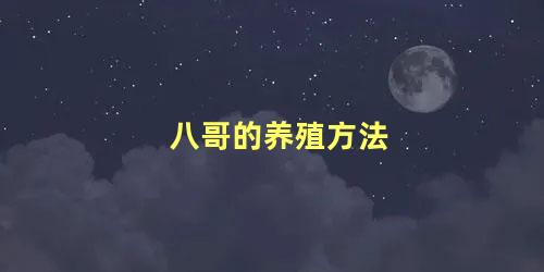 八哥的养殖方法