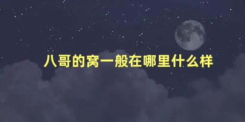 八哥的窝一般在哪里什么样