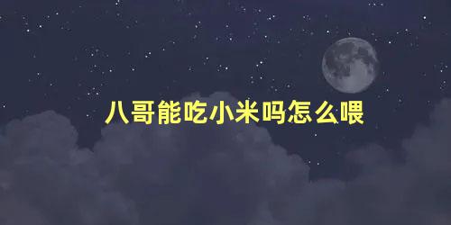 八哥能吃小米吗怎么喂