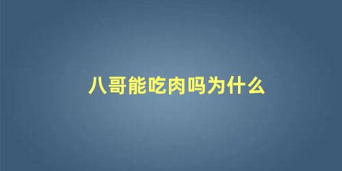 八哥能吃肉吗为什么