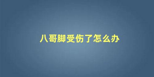 八哥脚受伤了怎么办