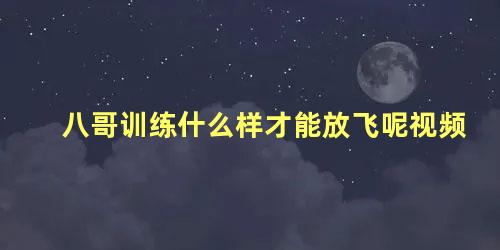 八哥训练什么样才能放飞呢视频