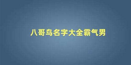 八哥鸟名字大全霸气男