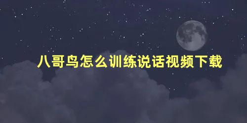 八哥鸟怎么训练说话视频下载