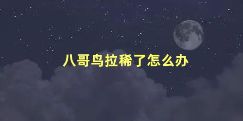 八哥鸟拉稀了怎么办