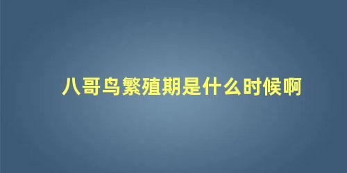 八哥鸟繁殖期是什么时候啊