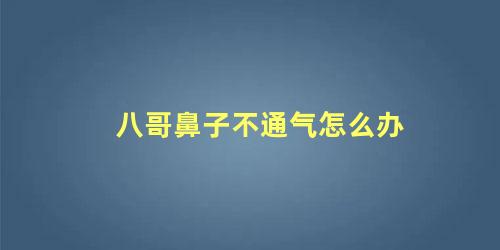 八哥鼻子不通气怎么办