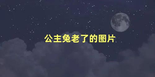 公主兔老了的图片