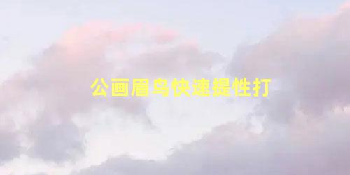 公画眉鸟快速提性打