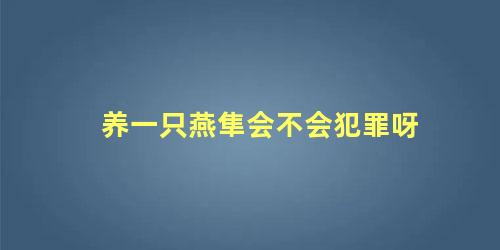 养一只燕隼会不会犯罪呀