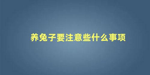 养兔子要注意些什么事项