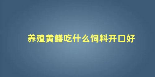 养殖黄鳝吃什么饲料开口好