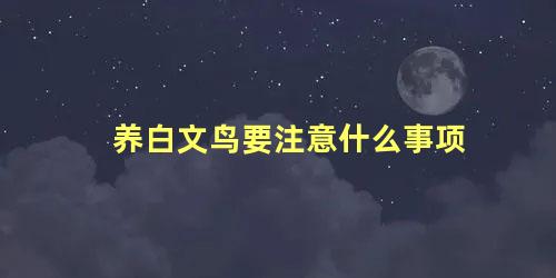 养白文鸟要注意什么事项