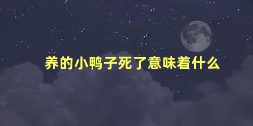 养的小鸭子死了意味着什么