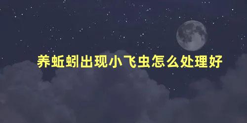 养蚯蚓出现小飞虫怎么处理好