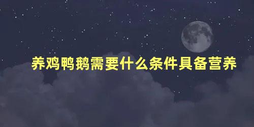 养鸡鸭鹅需要什么条件具备营养