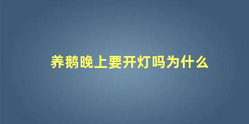 养鹅晚上要开灯吗为什么