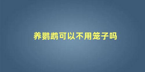 养鹦鹉可以不用笼子吗