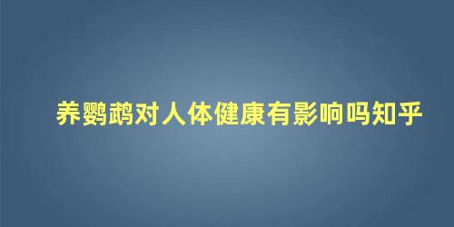 养鹦鹉对人体健康有影响吗知乎