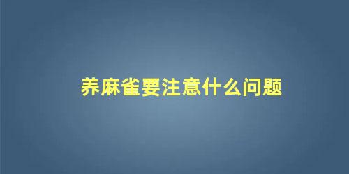 养麻雀要注意什么问题