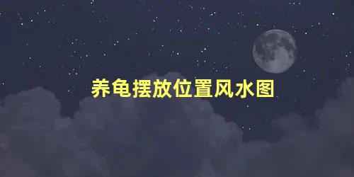 养龟摆放位置风水图