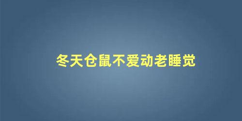 冬天仓鼠不爱动老睡觉