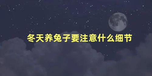 冬天养兔子要注意什么细节