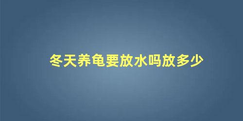 冬天养龟要放水吗放多少