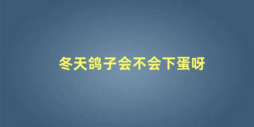 冬天鸽子会不会下蛋呀