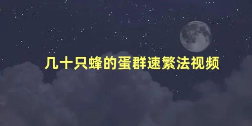 几十只蜂的蛋群速繁法视频