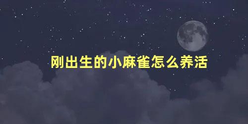 刚出生的小麻雀怎么养活