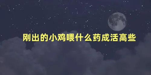 刚出的小鸡喂什么药成活高些