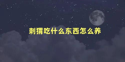 刺猬吃什么东西怎么养