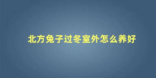 北方兔子过冬室外怎么养好