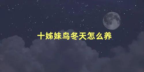 十姊妹鸟冬天怎么养