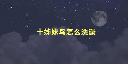 十姊妹鸟怎么洗澡